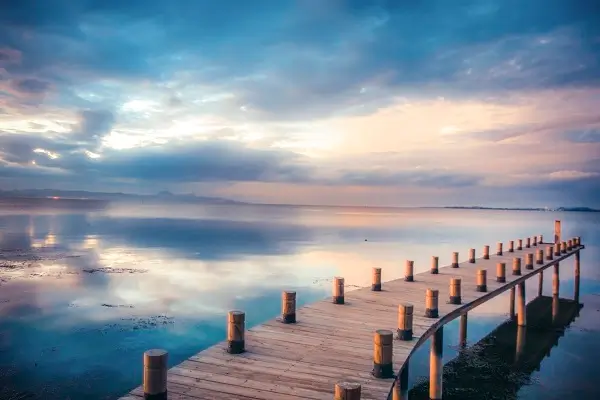 监视需要负什么法律责任