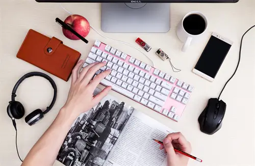 什么是法律藏语